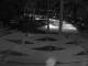 Punta Cana 16.05.2025 03:51
