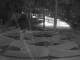 Punta Cana 06.07.2025 03:51