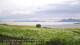 Laukvik 15.06.2025 03:52