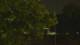 Callisburg, Texas 15.06.2025 03:54
