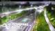 Te Atatu South 15.06.2025 04:52