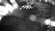 Averill Park, New York 15.06.2025 04:53