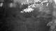 Averill Park, New York 02.07.2025 04:53