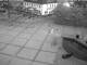 Bad Zwischenahn 15.06.2025 04:46