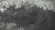 Gabsheim 01.07.2025 04:54