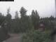 Stocka 06.07.2025 04:54
