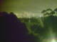 Linley Point 01.07.2025 04:54