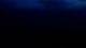 De Koog (Texel) 30.04.2025 04:46
