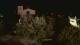 Farmers Branch, Texas 08.07.2025 04:11