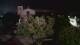 Farmers Branch, Texas 30.04.2025 04:11