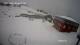 Nuuk 08.05.2025 04:58
