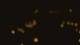 San Antonio, Texas 30.04.2025 04:13