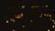San Antonio, Texas 11.05.2025 04:13