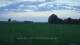 't Zandt 15.06.2025 04:58