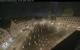 Augsbourg 30.04.2025 04:47