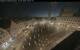Augusta 30.04.2025 04:47