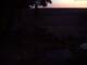 Schneverdingen 11.05.2025 04:47