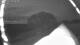 Schwinge 01.05.2025 04:59