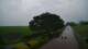 Schwinge 09.06.2025 04:59