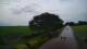 Schwinge 09.06.2025 04:59
