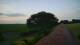 Schwinge 14.06.2025 04:58