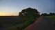 Schwinge 11.05.2025 04:59