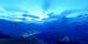 Villars-sur-Ollon 18.05.2025 04:51