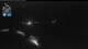 Flattach 09.06.2025 04:01