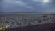 Borkum 14.06.2025 04:01