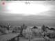 Rheinbach 15.06.2025 04:47