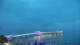 Haffkrug 14.07.2025 04:13