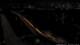 Kehl 22.03.2025 04:04