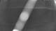 Gartow 30.04.2025 04:05