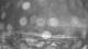 Outer Island, Connecticut 30.04.2025 04:23