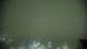 Chantilly, Virginia 14.06.2025 04:27