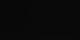 Melchsee-Frutt 30.06.2025 04:54