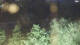 Bad Pyrmont 30.04.2025 04:47
