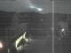 Hessisch Oldendorf 03.07.2025 04:07