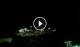 Granitsa 03.07.2025 04:19