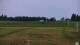Zieleniec 09.06.2025 04:10