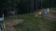 Zieleniec 03.07.2025 04:10