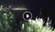 Addaura 05.07.2025 04:11