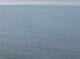 AIDAbella 14.03.2025 04:12