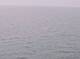 AIDAbella 09.06.2025 04:12
