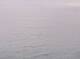 AIDAbella 08.07.2025 04:11