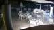 Bellaria-Igea Marina 09.06.2025 04:48
