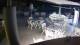 Bellaria-Igea Marina 15.06.2025 04:48