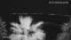 Split 09.07.2025 04:12