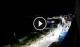 Santa Cesarea Terme 01.05.2025 04:13