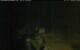 Walton 04.07.2025 04:08